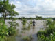 From mangoes to maize, climate change brings new hunger threats