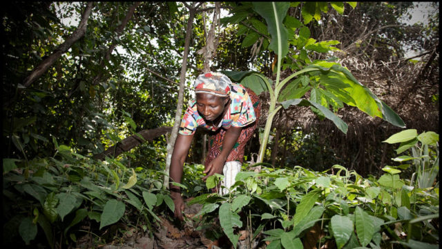 woemn-farming_ghana