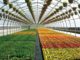 Horticulture innovation on the spotlight