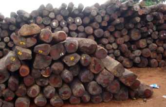 Export of Rosewood totally banned in Ghana