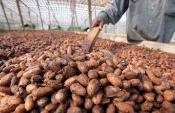 Nestlé invests $45 million a year in cocoa sustainability