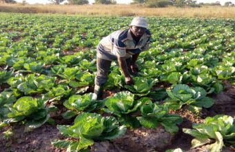 Farmer Group calls on Government to prioritizes organic farming