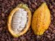 Cargill commits to transparency and sustainability of cocoa sector