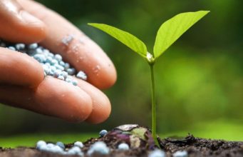 Farmers bemoan release delay of subsidised fertiliser