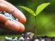 Farmers bemoan release delay of subsidised fertiliser