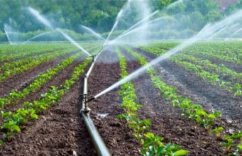 Choosing an irrigation system