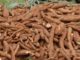 Sanni leads Nigeria, Tanzania’s cassava project team