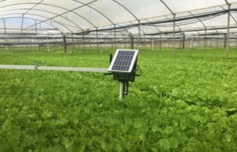 NITDA offer a springboard for local farmers