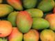 PGS to regulate West Africa organic food.