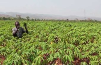 Nigeria to support small-scale farmers by injecting N600 billion as a stimulus-response into the sector – Minister