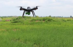 Drones spearheading rice growing revolution in Togo