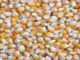 Call to find lasting solutions to the hydra-headed security challenges hindering investments in Nigeria’s agricultural sector