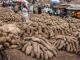 West African Yam Festivals Celebrate Harvest, Community and Life Itself