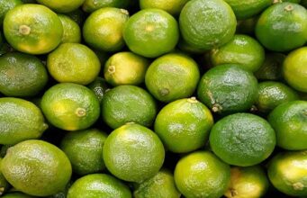 EU headache for South African fruit shipments