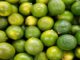 EU headache for South African fruit shipments