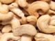 West Africa’s Agricultural Future Blossoms