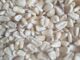 Togo Gears Up for Agricultural Boom with New Processing Zone Project