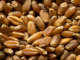 Wheat Sector Transformation: A Tripartite Commitment for Sustainable Food Security in West and Central Africa