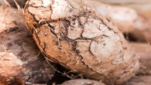 A Plateful of Problems Nigeria Grapples with Persistent Food Insecurity