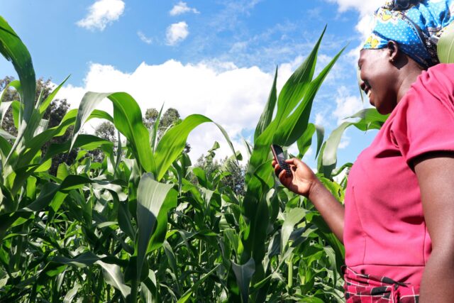Digital Revolution Takes Root in West African Agriculture, Empowering Hundreds of Thousands