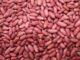 EU Boost for Senegalese Farmers as Peanut Export Ban Partially Lifted