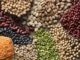 Ghana’s Seed Industry and Government Unite to Bolster Food Security