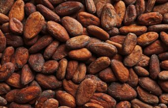 Ghana Launches Cocoa Monitor to Enhance Sector Transparency and Sustainability