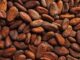 Ghana Launches Cocoa Monitor to Enhance Sector Transparency and Sustainability