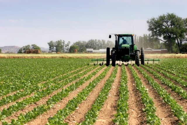 Lasaco Plants Seeds of Security in Nigeria's Agricultural Sector