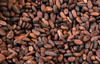 Ghanaian Cocoa Farmers Demand Higher Prices Amid Currency Woes