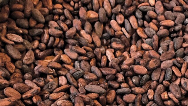 Ghanaian Cocoa Farmers Demand Higher Prices Amid Currency Woes