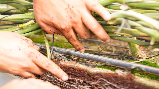 Precision Irrigation Efficient Water Use Cuts Costs and Improves Profitability