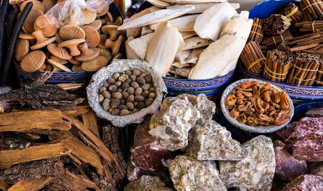 Ghana's Gold Rush vs. 'Green Pharmacy' The Economic and Ecological Cost of Galamsey
