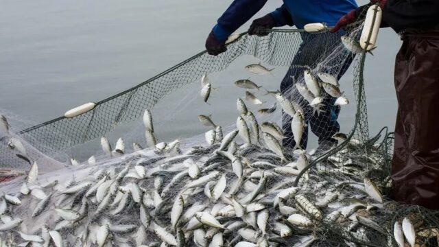 Transparency Gap Clouds Local Fisheries Outlook