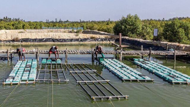 Côte d'Ivoire Launches $33 Million Push to Fix a Fisheries Sector in Freefall