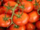 Ghana Accelerates Self-Sufficiency Drive as Burkina Faso Tomato Ban Bites – Updates