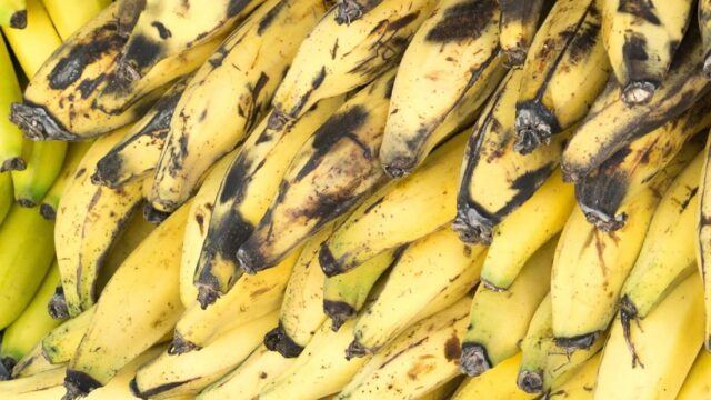 Ghana Puts Science at the Service of Africa's Food Crisis