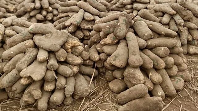 Quartus Economics says Nigeria’s economy has improved - but poverty persists due to weak agriculture sector