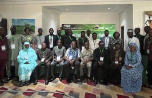 West Africa’s Farms Are Under Siege