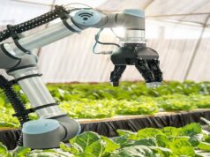 West Africa’s New AI Framework Bets on Digital Sovereignty