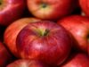 A New Route into SADC for Nigerian Agribusiness