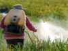 African Exporters Face New EU Pesticide Compliance Risk