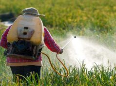 African Exporters Face New EU Pesticide Compliance Risk