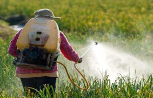African Exporters Face New EU Pesticide Compliance Risk