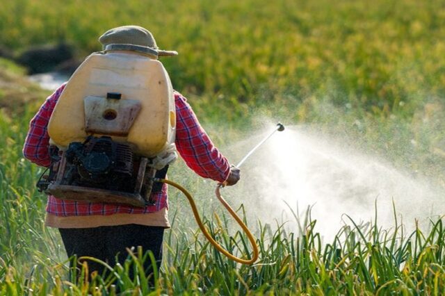 African Exporters Face New EU Pesticide Compliance Risk