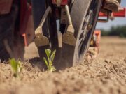 How Nigerian Banking is Rewriting the Agritech Playbook