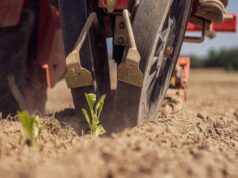 How Nigerian Banking is Rewriting the Agritech Playbook