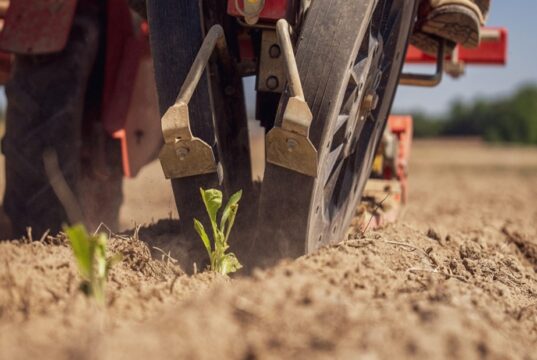 How Nigerian Banking is Rewriting the Agritech Playbook