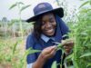 African Indigenous Crops Take Global Stage as Scientist Pamela Afokpe Wins Prestigious 2026 Borlaug Field Award