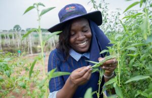 African Indigenous Crops Take Global Stage as Scientist Pamela Afokpe Wins Prestigious 2026 Borlaug Field Award